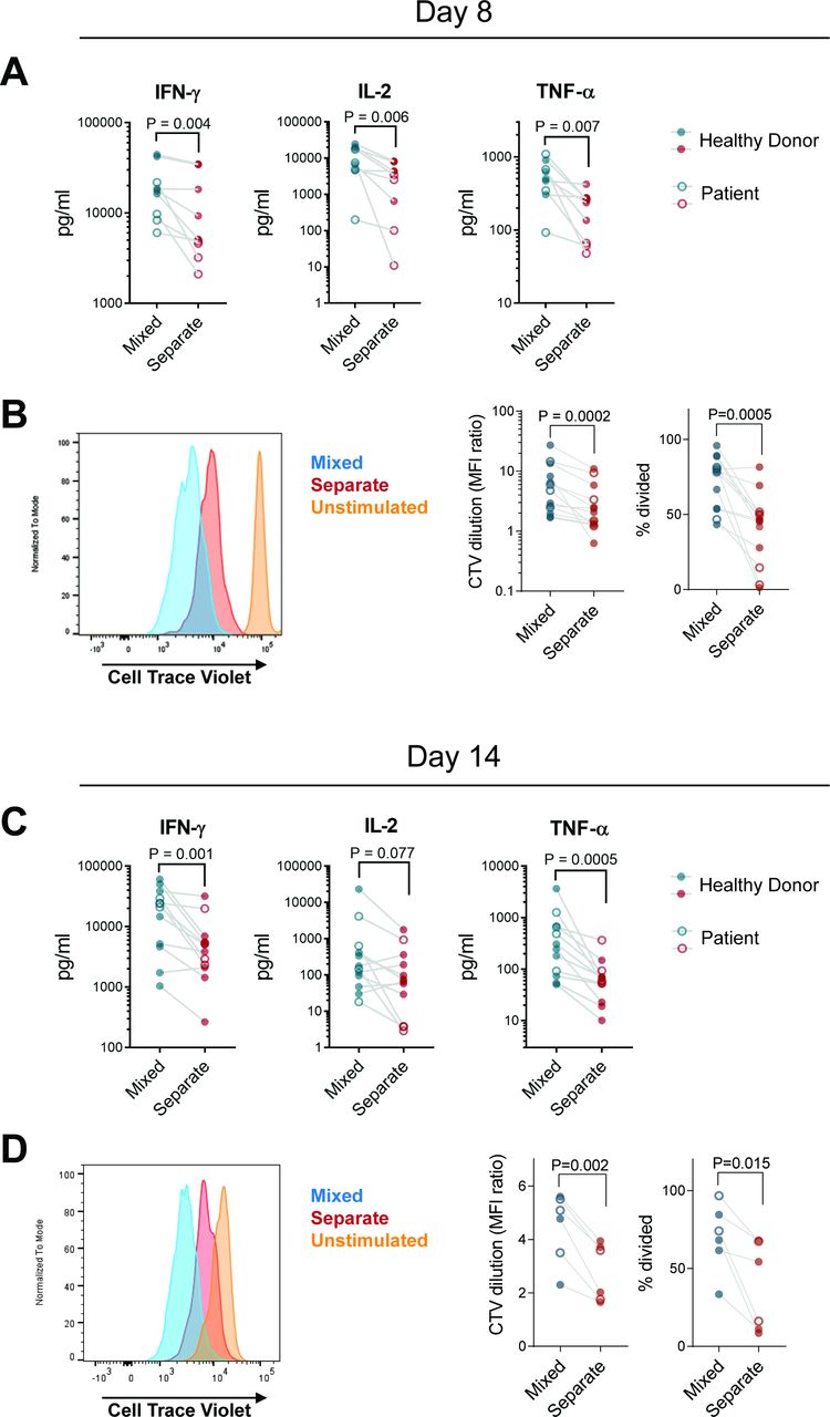 CD8+ chimeric antigen receptor T cells manufactured in absence of CD4 ...