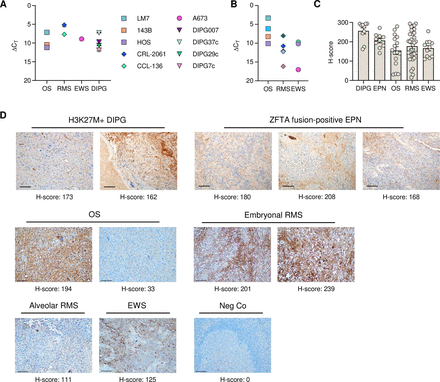IL-18R supported CAR T cells targeting oncofetal tenascin C for