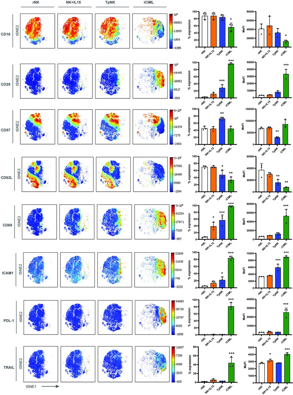 Proteomic and phenotypic characteristics of memory-like natural