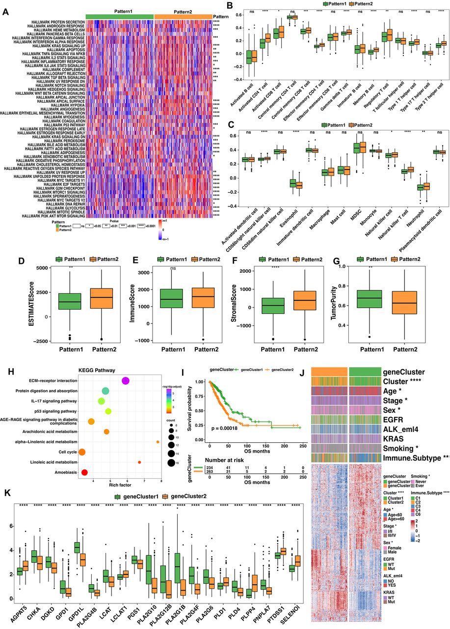 Harnessing lipid metabolism modulation for improved immunotherapy ...