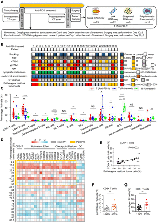 Epithelium/imcDC2 axis facilitates the resistance of neoadjuvant