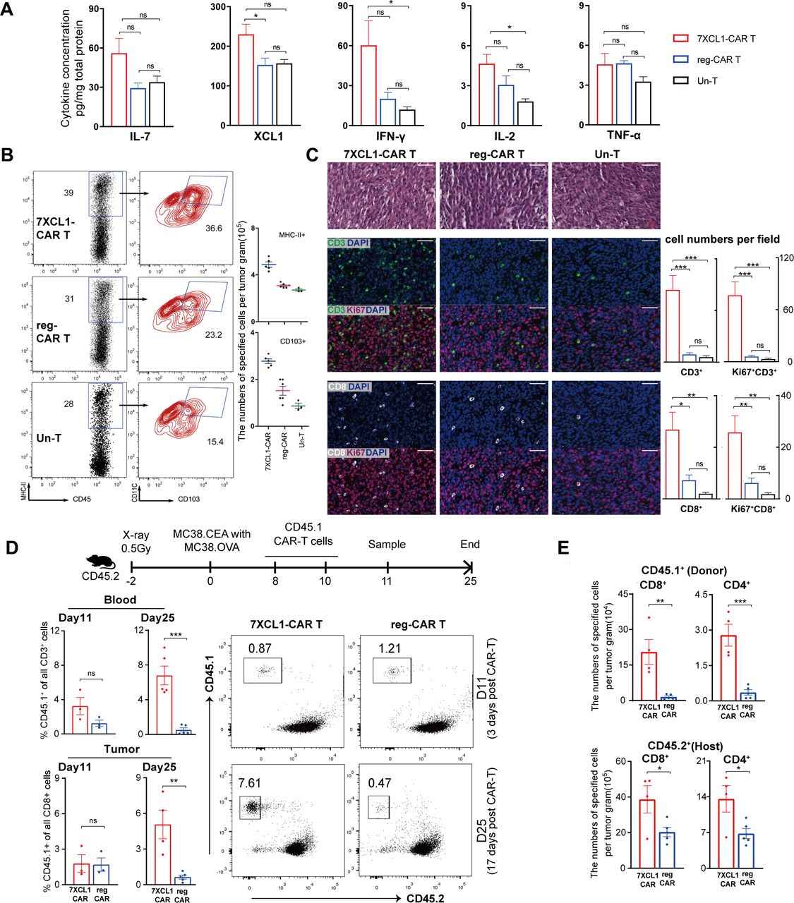 XCL1-secreting CEA CAR-T cells enhance endogenous CD8+ T cell responses ...