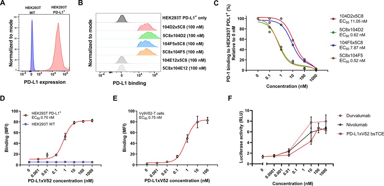 PD-L1 directed bispecific Vδ2-T cell engager combines lysis of PD-L1 ...