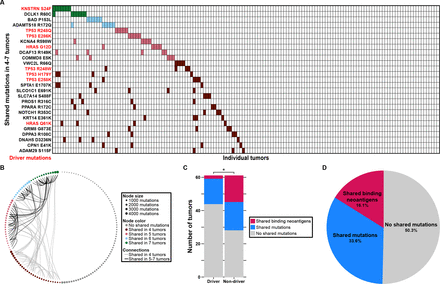 Predication and Modification: A Minimal… Predication - ScienceDirect