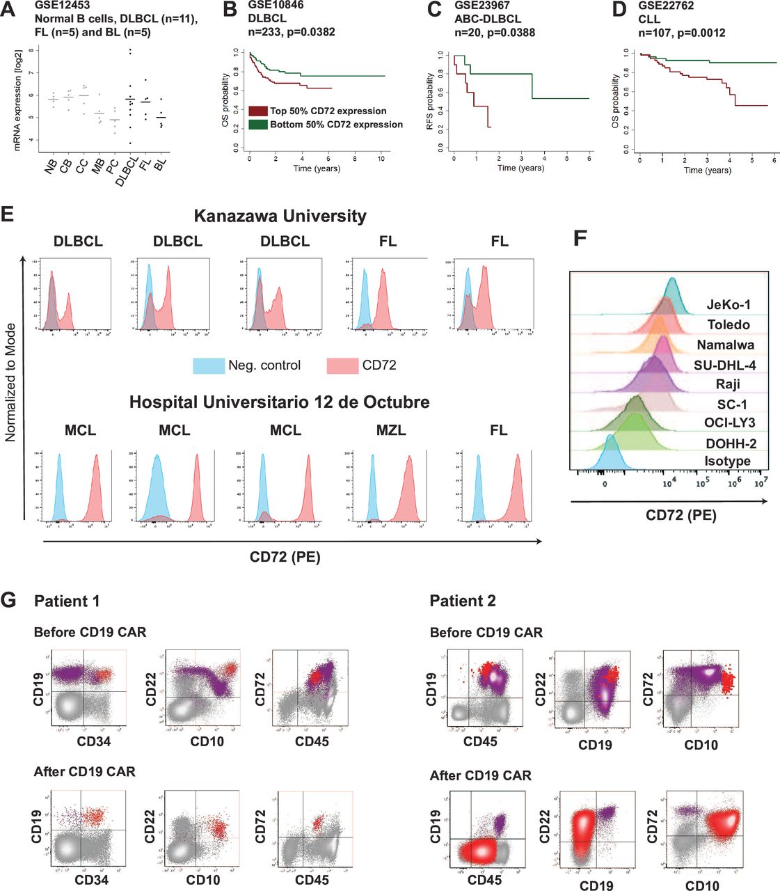 Affinity-matured CD72-targeting nanobody CAR T cells enhance