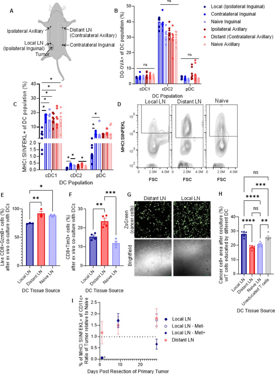 Overcoming impaired antigen presentation in tumor-draining lymph nodes ...