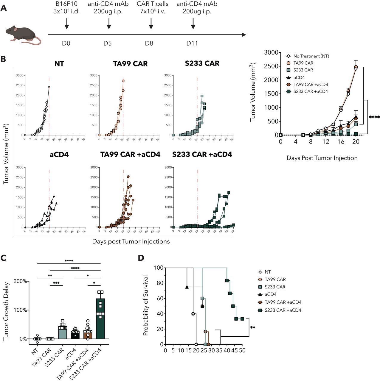 CD4 T cell depletion increases memory differentiation of endogenous and ...