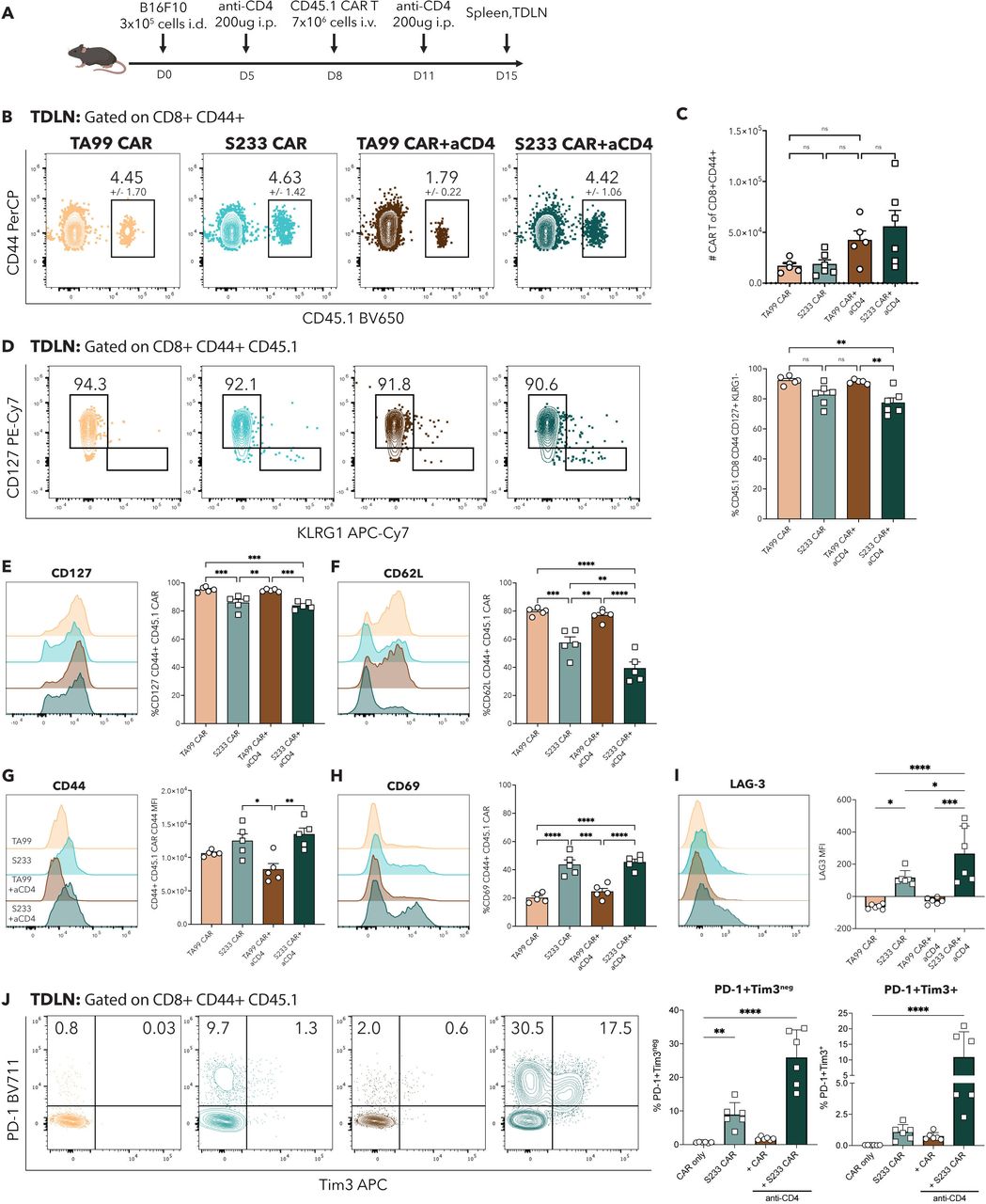 CD4 T cell depletion increases memory differentiation of