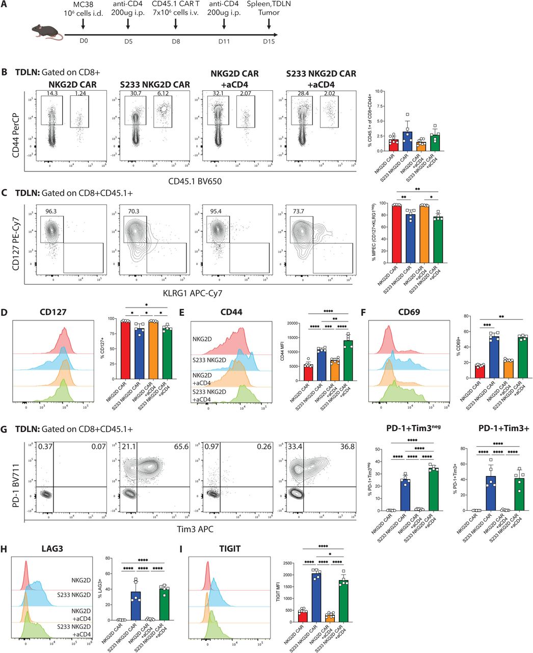CD4 T cell depletion increases memory differentiation of
