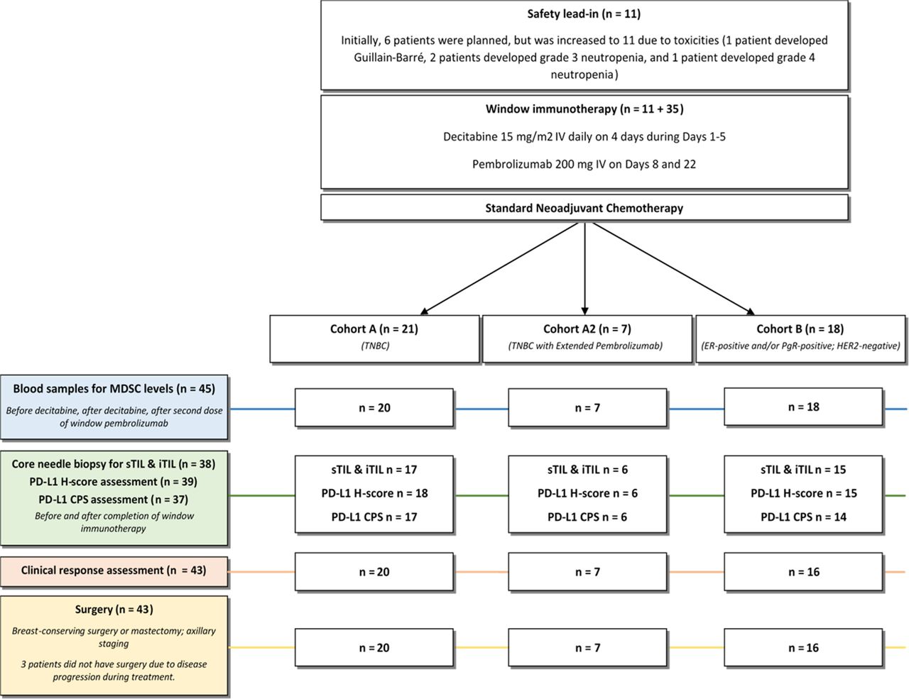 T-cell immune checkpoint inhibition plus hypomethylation for locally ...