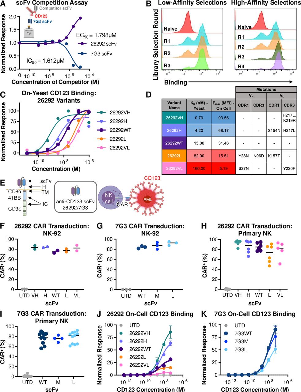 Single-chain variable fragment affinity tuning can optimize anti-AML ...