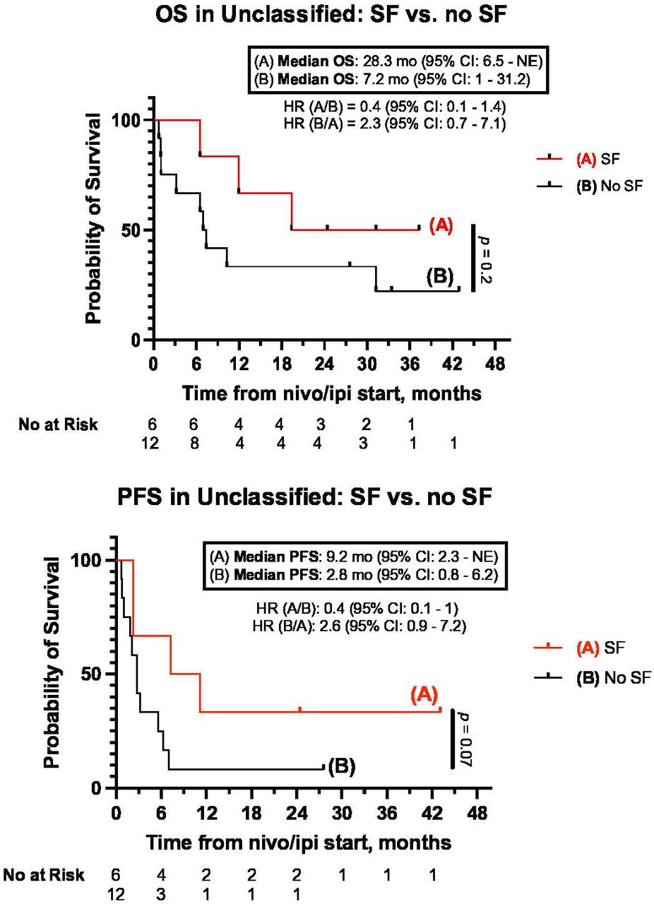 Efficacy and safety of nivolumab plus ipilimumab in patients with ...
