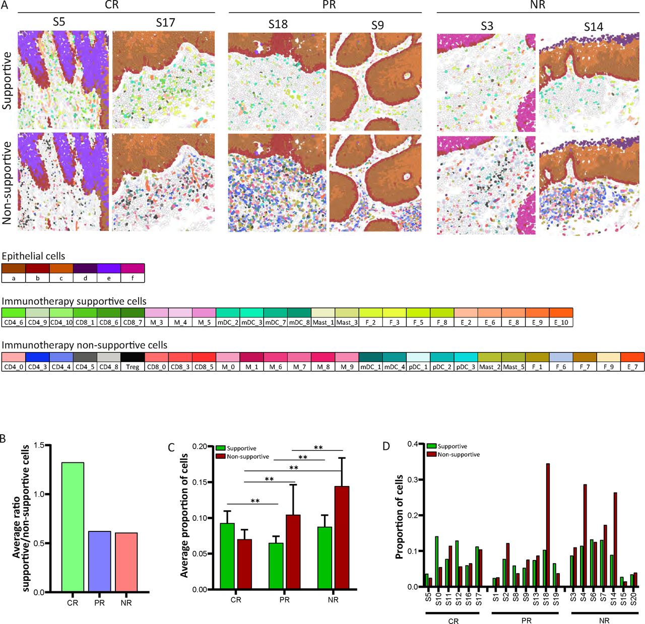 Single-cell spatial transcriptomics unravels cell states and ecosystems ...