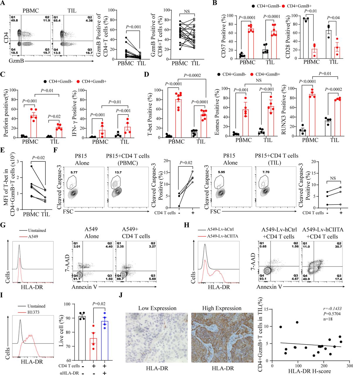 Targeting PD-1 and CD85j can restore intratumoral CD4+ GzmB+ T