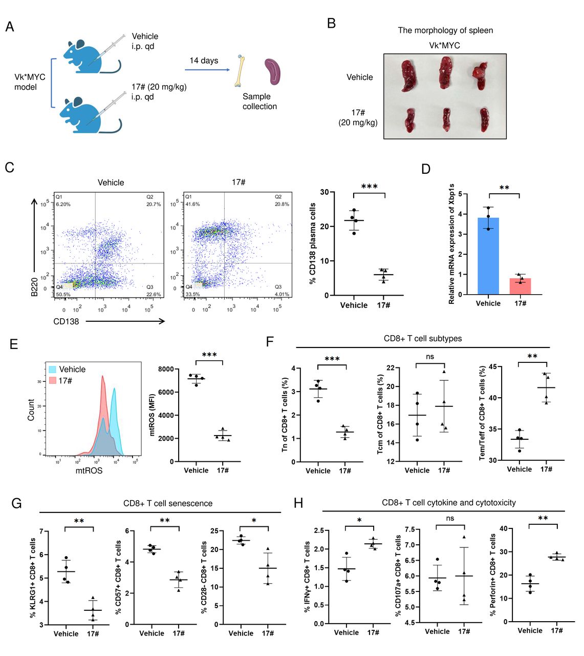 Dual roles of IRE1α inhibition in reversing mitochondrial ROS