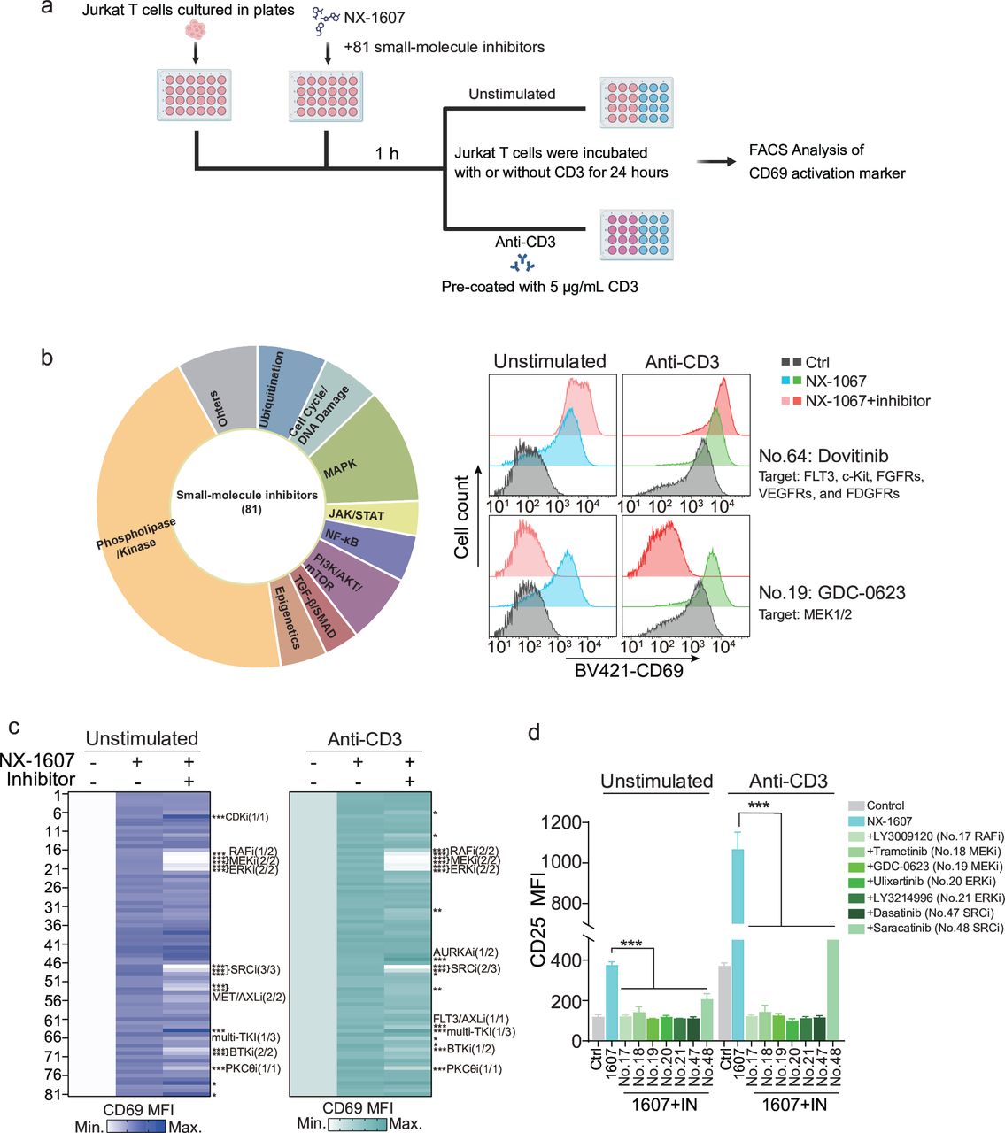 ERKページ Cbl-b inhibitor NX-1607 activates MAPK/ERK signaling pathway and