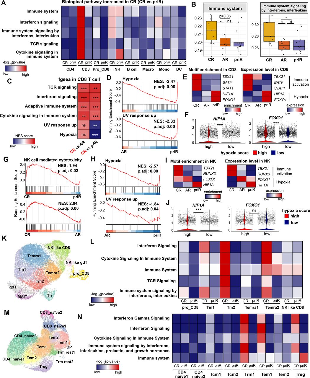 Single-cell RNA sequencing of baseline PBMCs predicts ICI efficacy and ...