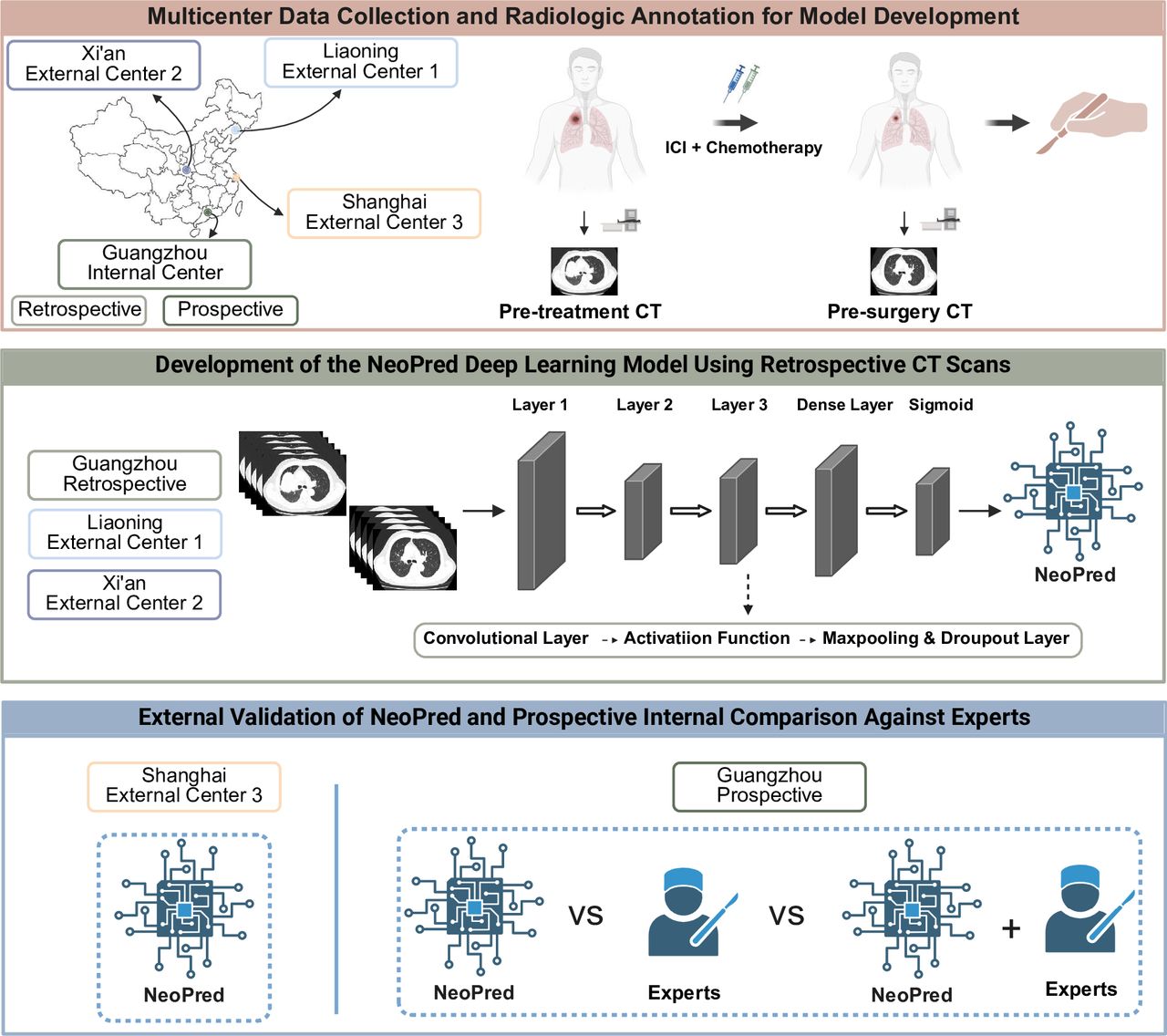 NeoPred: dual-phase CT AI forecasts pathologic response to neoadjuvant ...