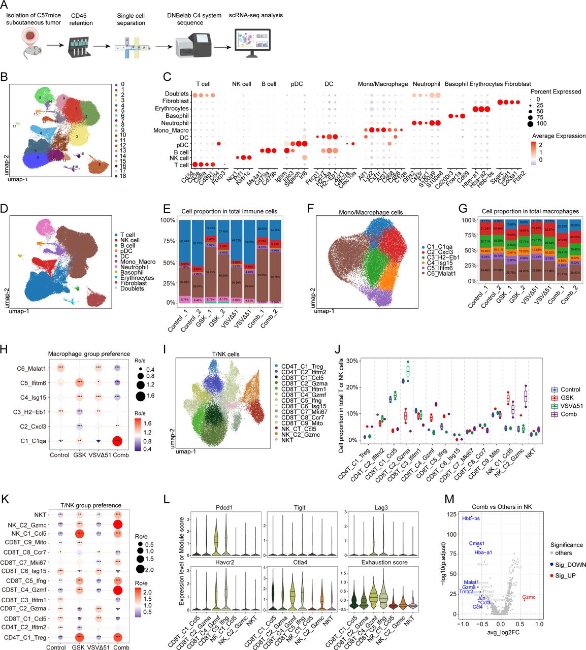 Targeting TBK1 potentiates oncolytic virotherapy via amplifying