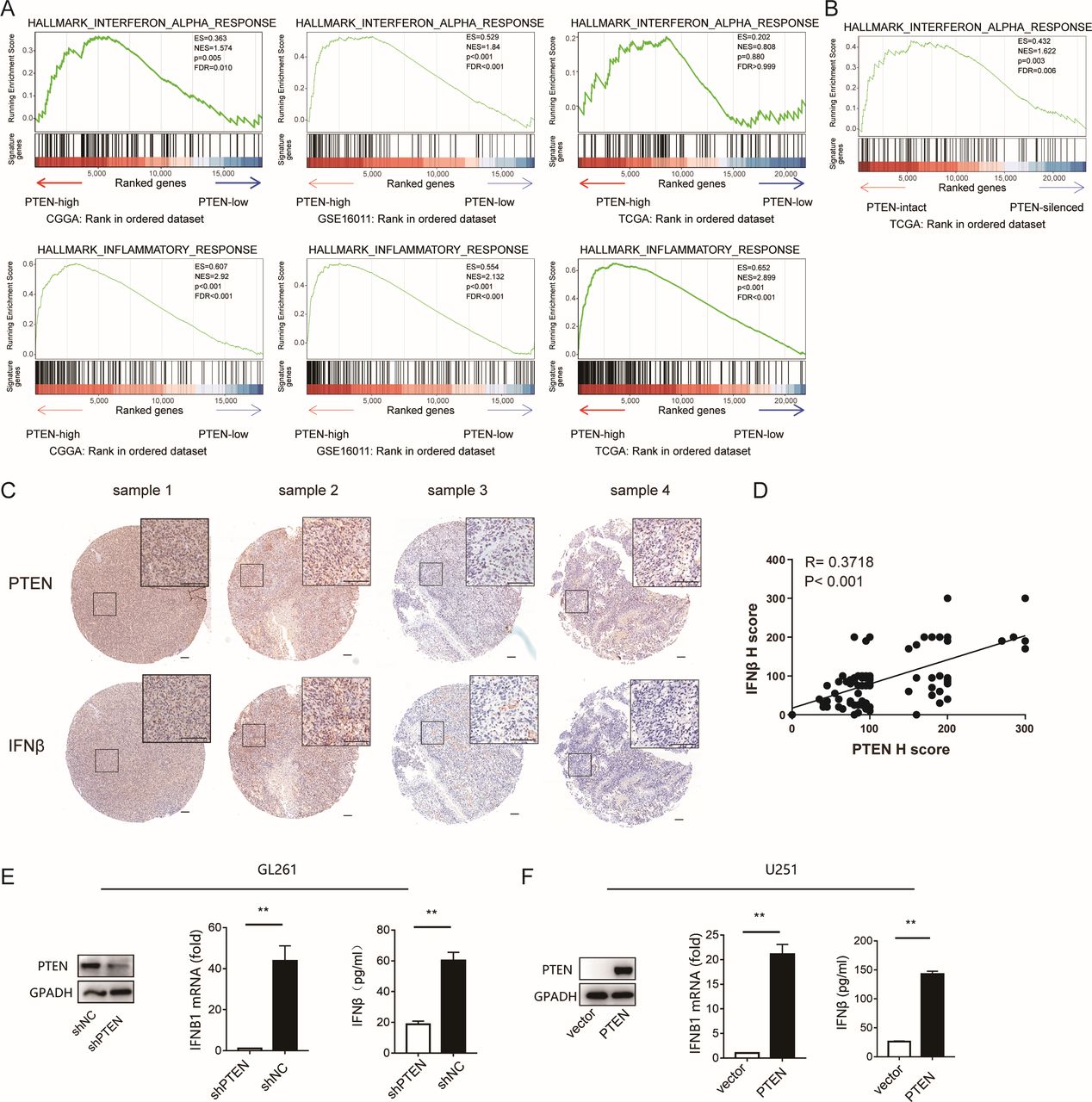 EZH2 inhibition and 5-azacytidine enhance antitumor immunity in
