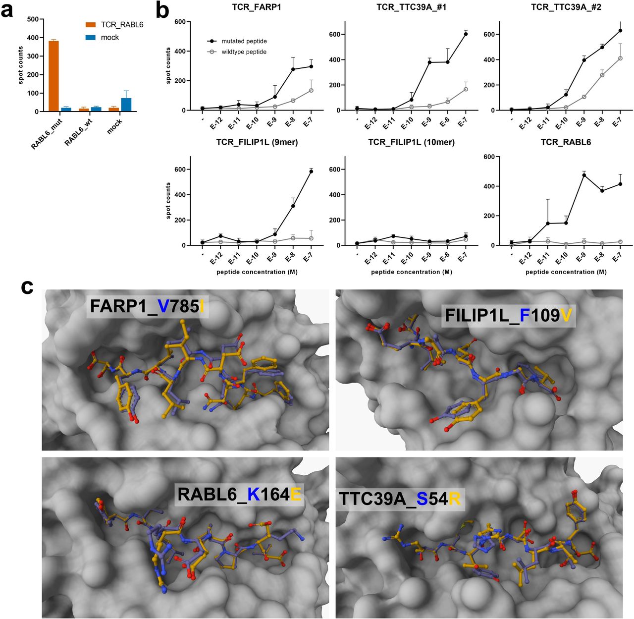 Enhanced mutanome analysis towards the induction of neoepitope