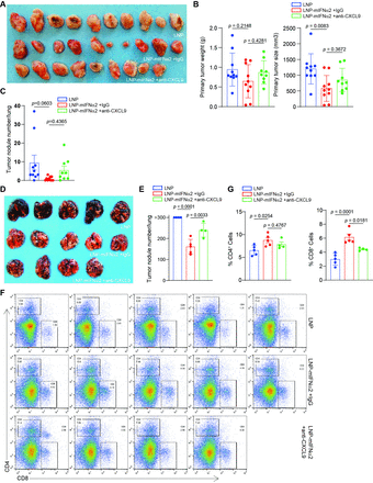 Lipid nanoparticle-delivered IFNα2 activates Cxcl9 to increase T