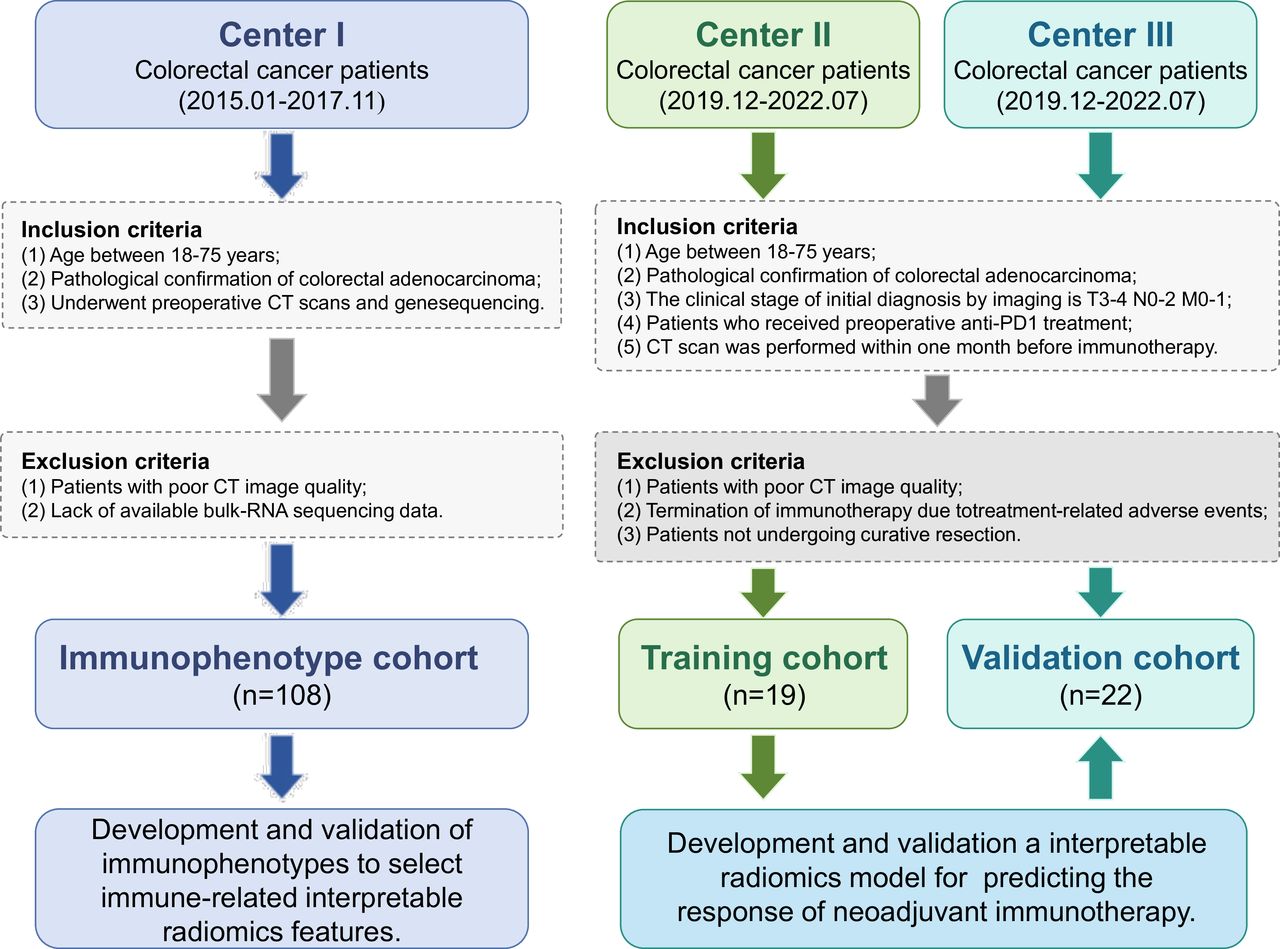 Immunophenotype-guided interpretable radiomics model for