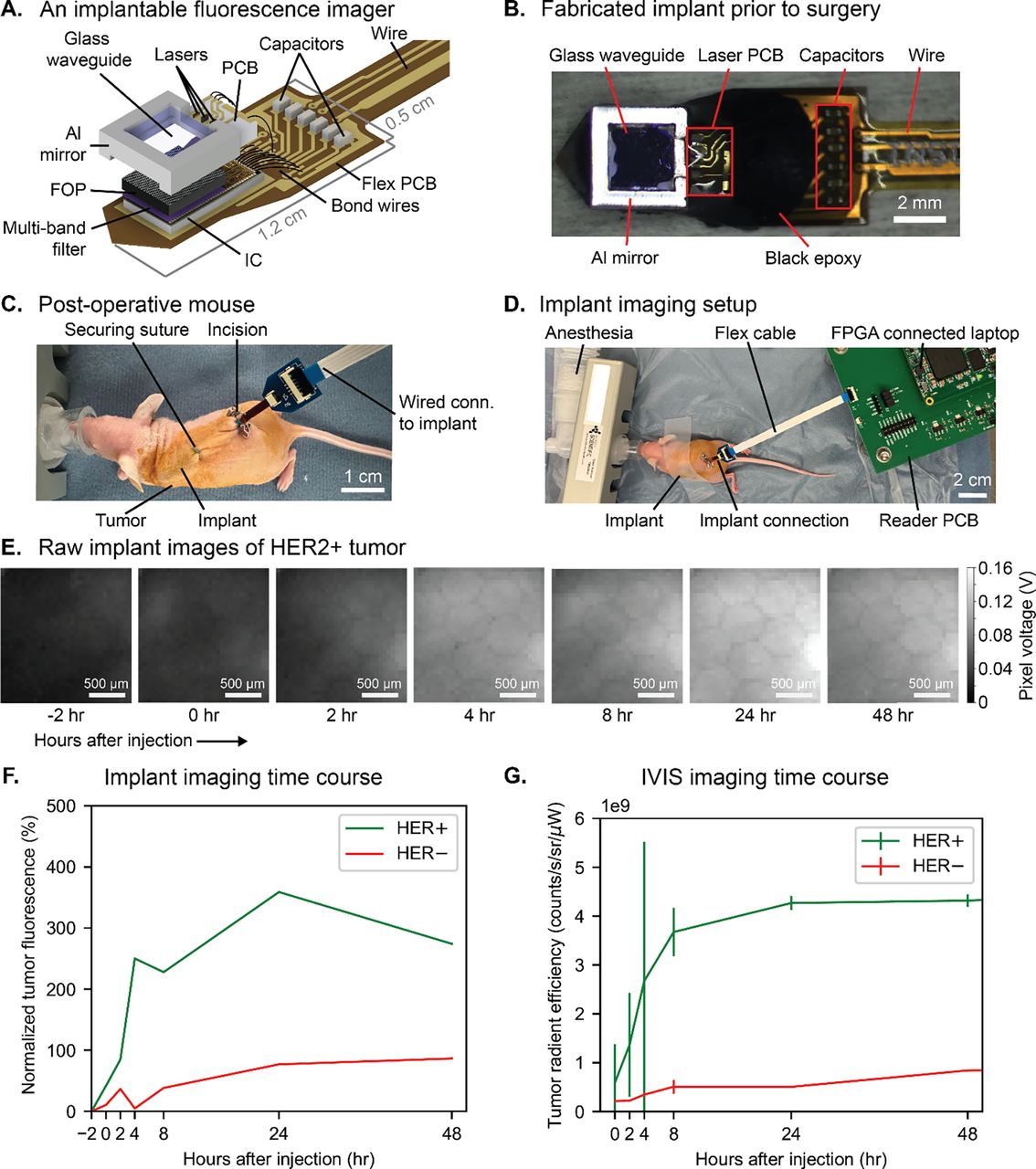 96 Real-time in vivo imaging of therapeutic biodistribution with a ...
