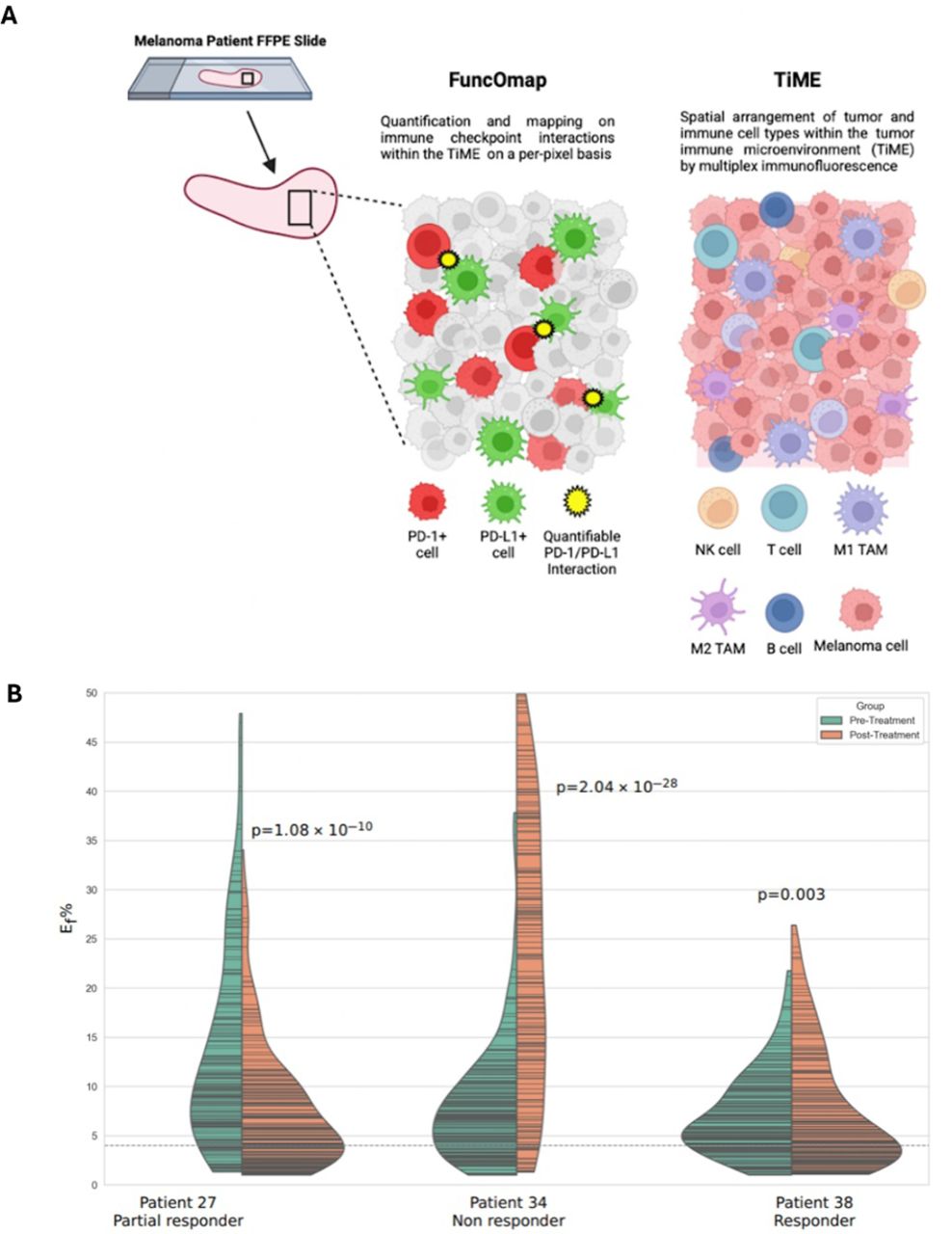 103 Functional spatial mapping of the tumour immune microenvironment in ...