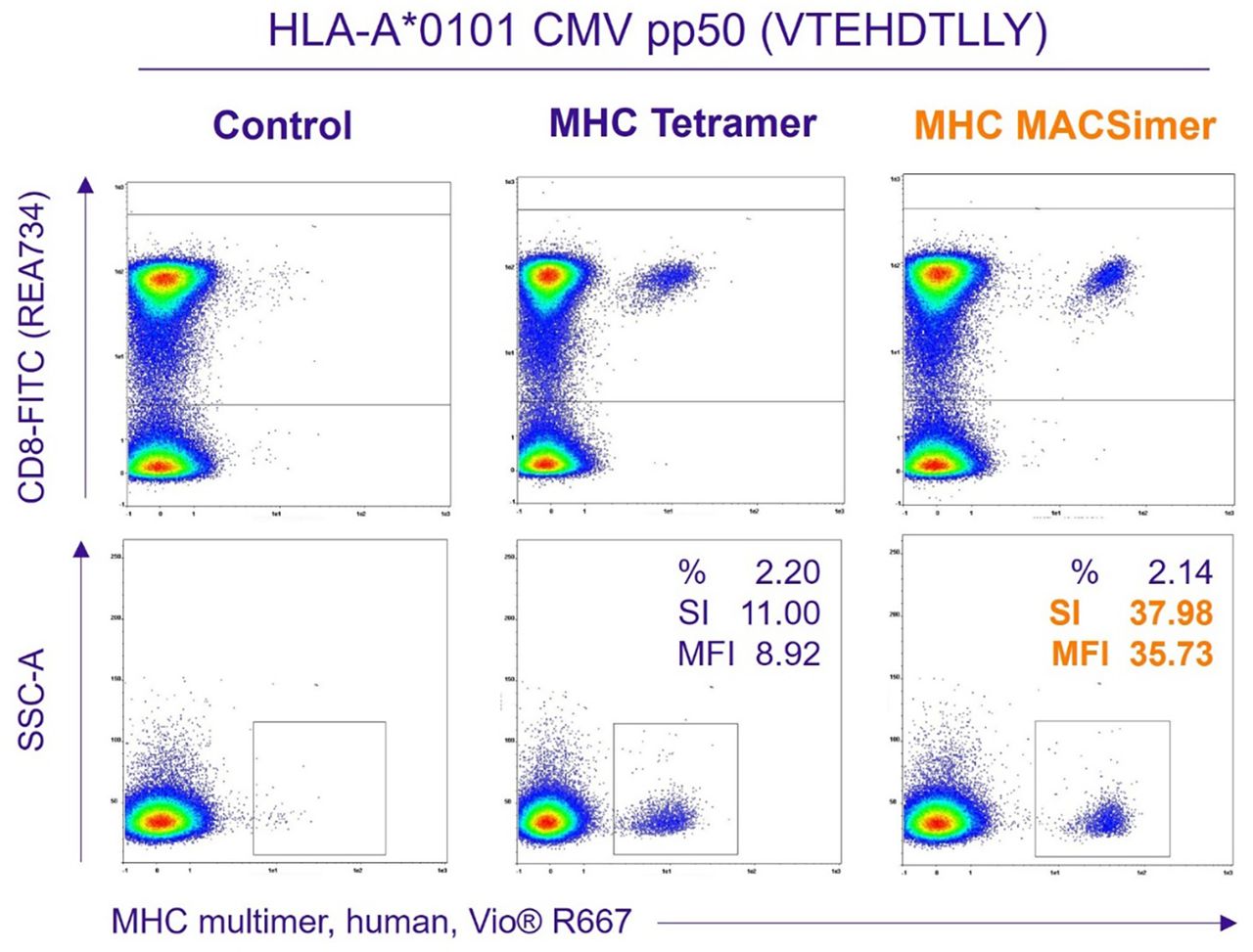 367 Novel MHC multimer technology for sensitive discovery, analysis ...