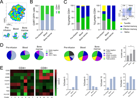 Mutant calreticulin enables potent and selective CAR-T cell therapy in ...