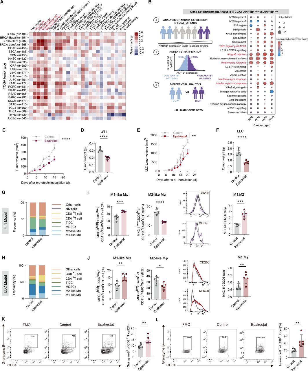 kb glutathione reviews 2015 in Skin Aging and Tissue Regeneration: A Systematic Review of Molecular Mechanisms, Redox Modulation, and Biomedical Implications Ancestral and local adaptation contribute