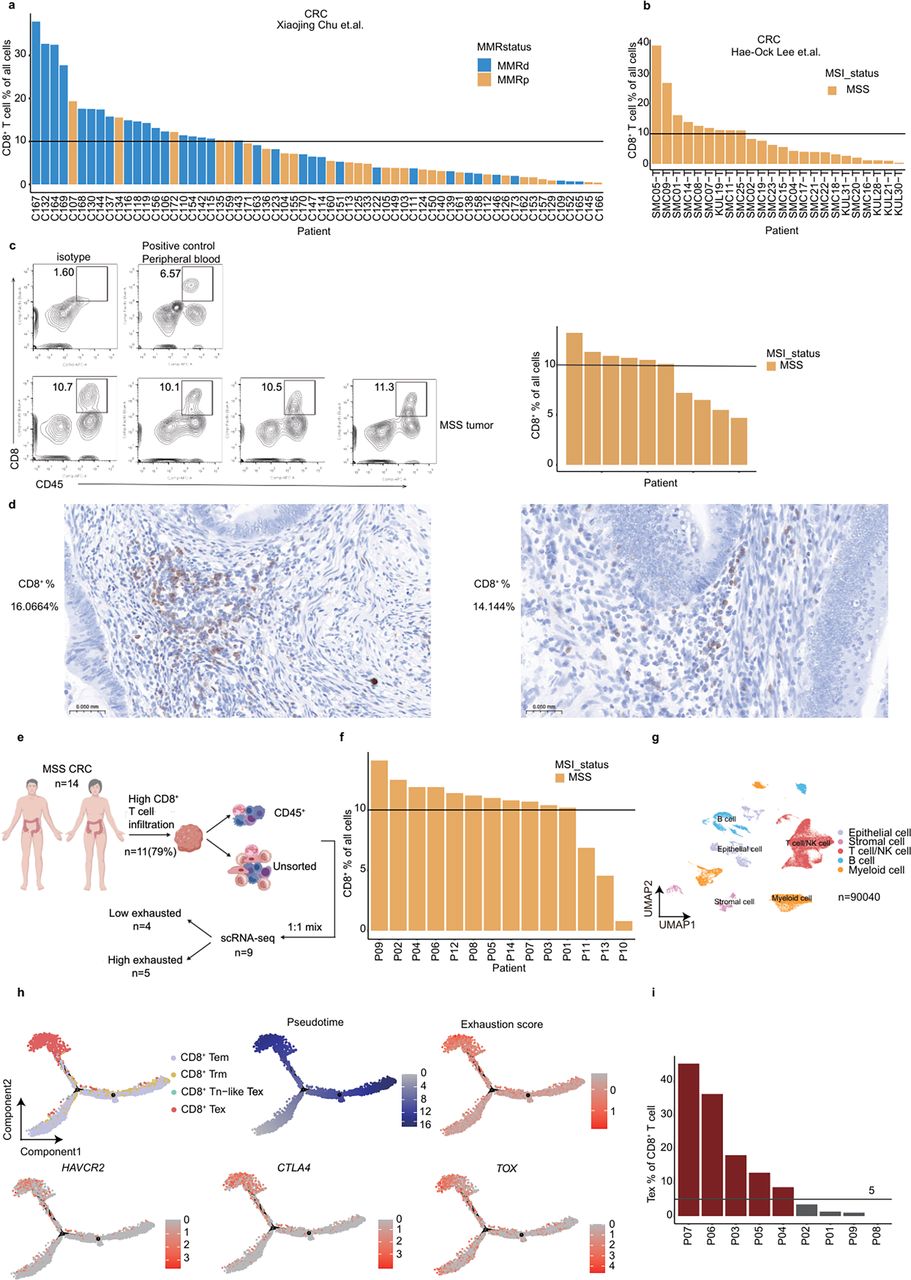 CLEC2B-KLRB1 axis acts as an immune checkpoint, governing the