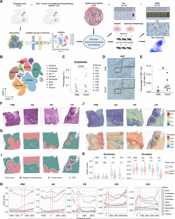Targeting VEGF signaling and stromal remodeling enhances