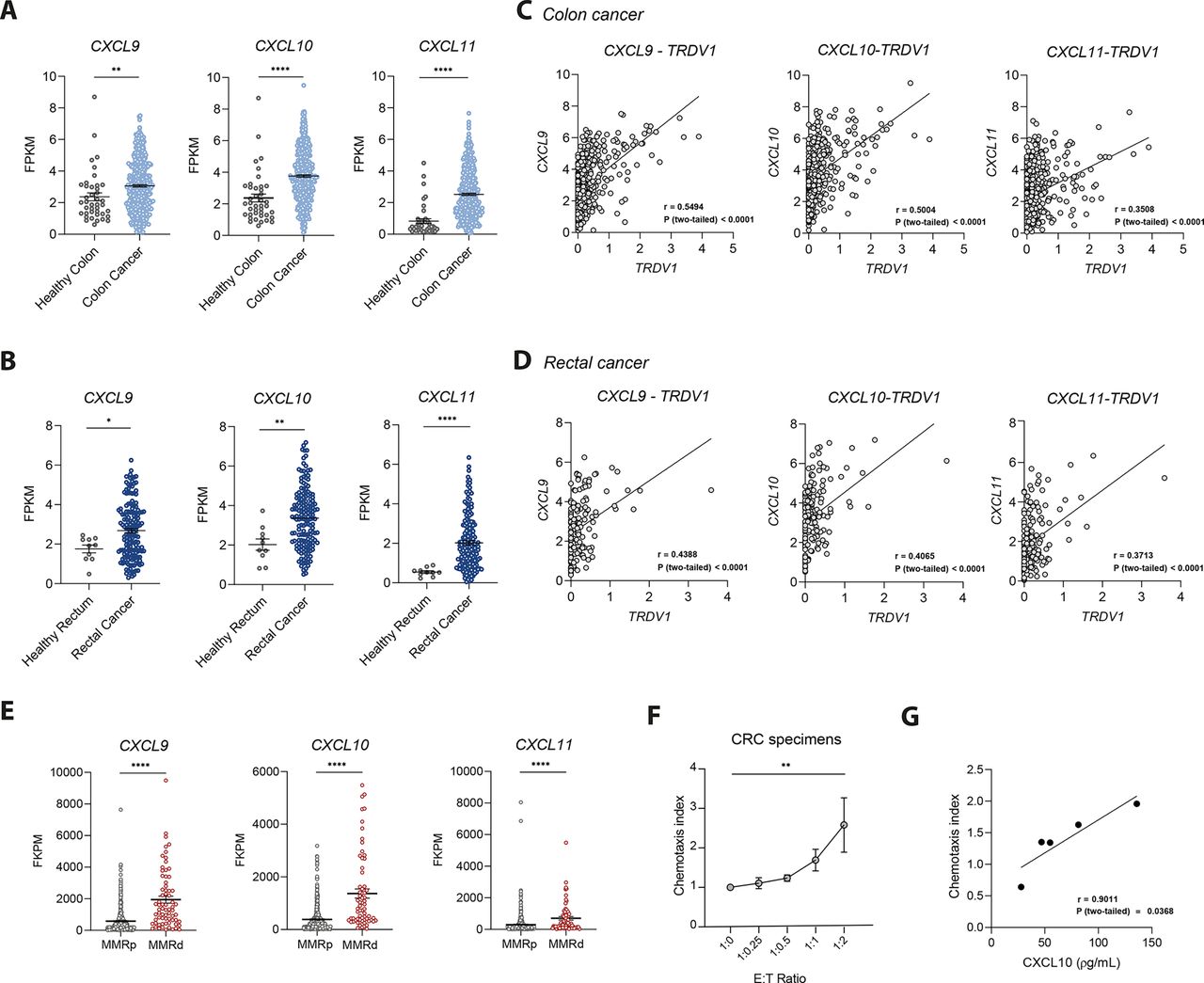 CXCR3 signaling promotes Delta One T cell recruitment and