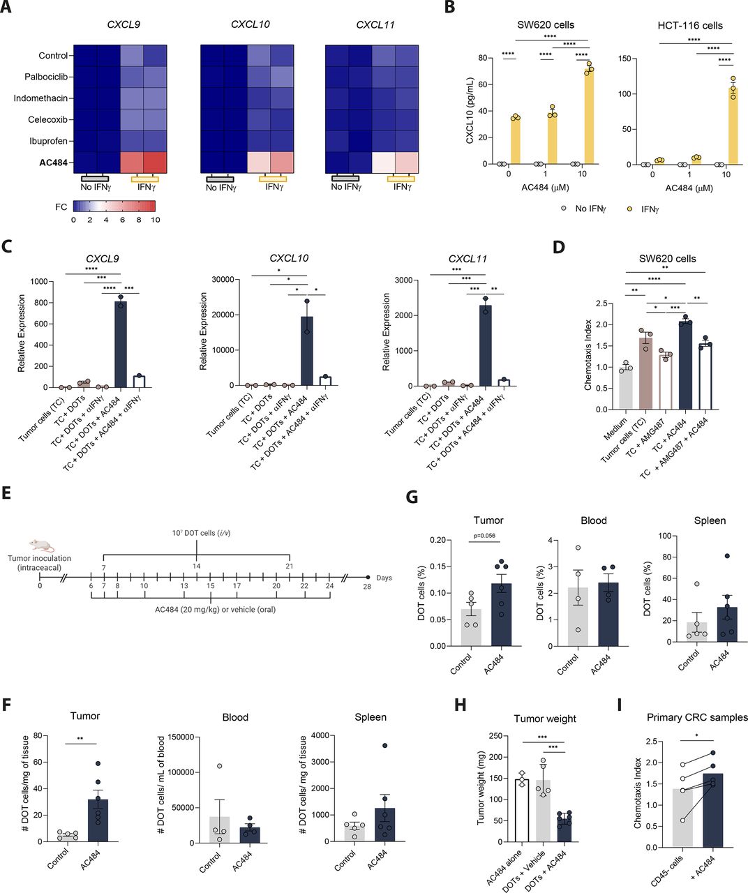 CXCR3 signaling promotes Delta One T cell recruitment and
