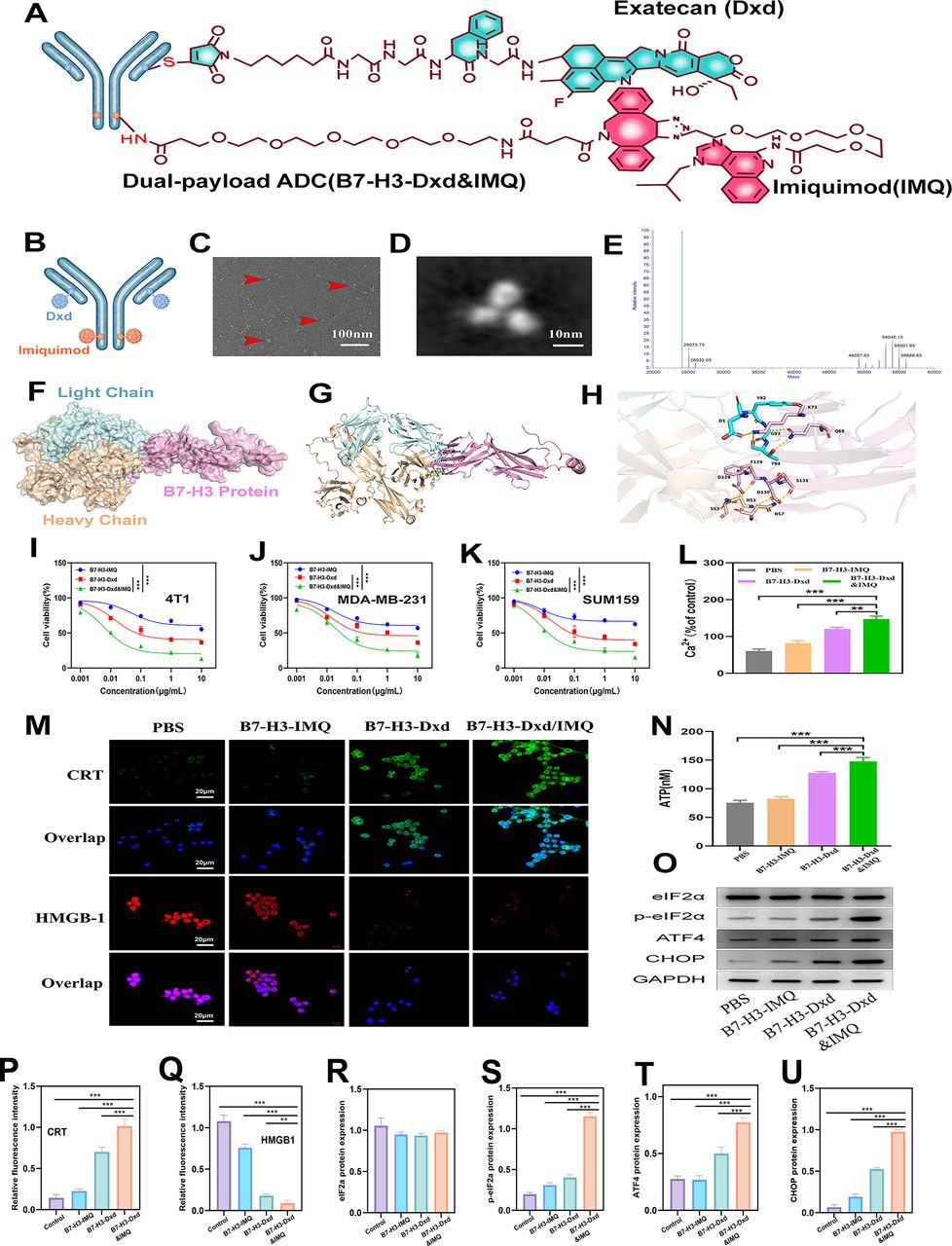 Igniting cold tumors: reprogramming the tumor immune