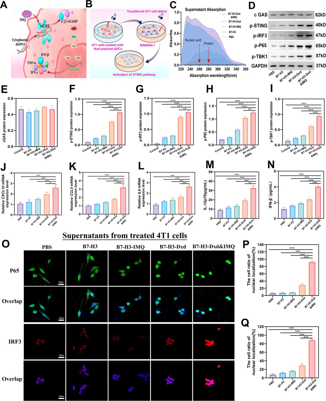Igniting cold tumors: reprogramming the tumor immune